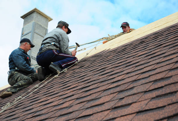 Best Storm Damage Roof Repair  in Glen Raven, NC
